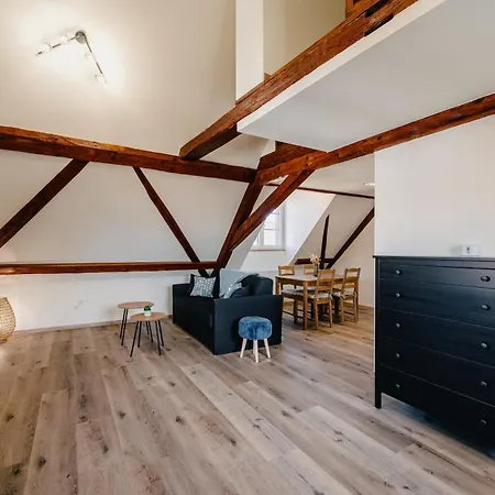 Les Charmes Apartment Boofzheim